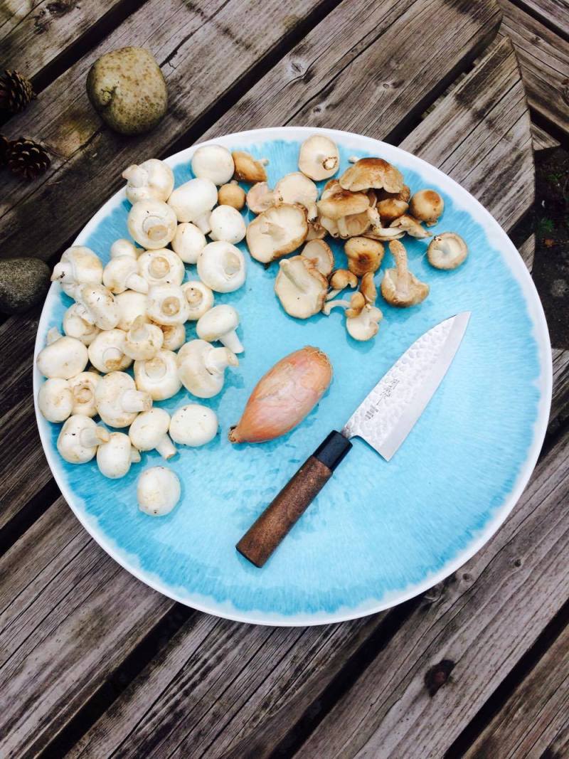 20684357_487689824916746_296405959_o