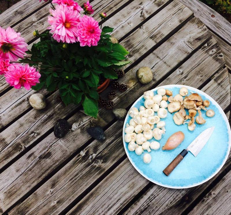 20727265_487689834916745_1818163102_o