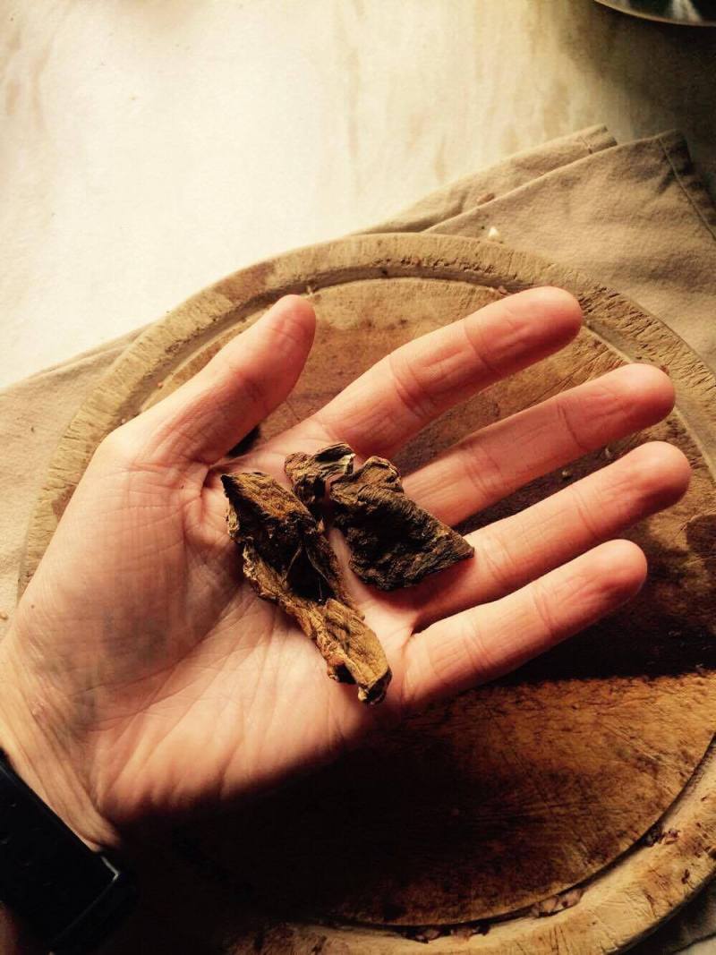 21533690_1965337960376789_1746430588_o