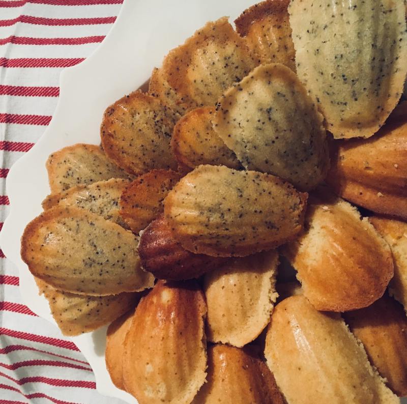 27707512_2032076173702967_527808408_o