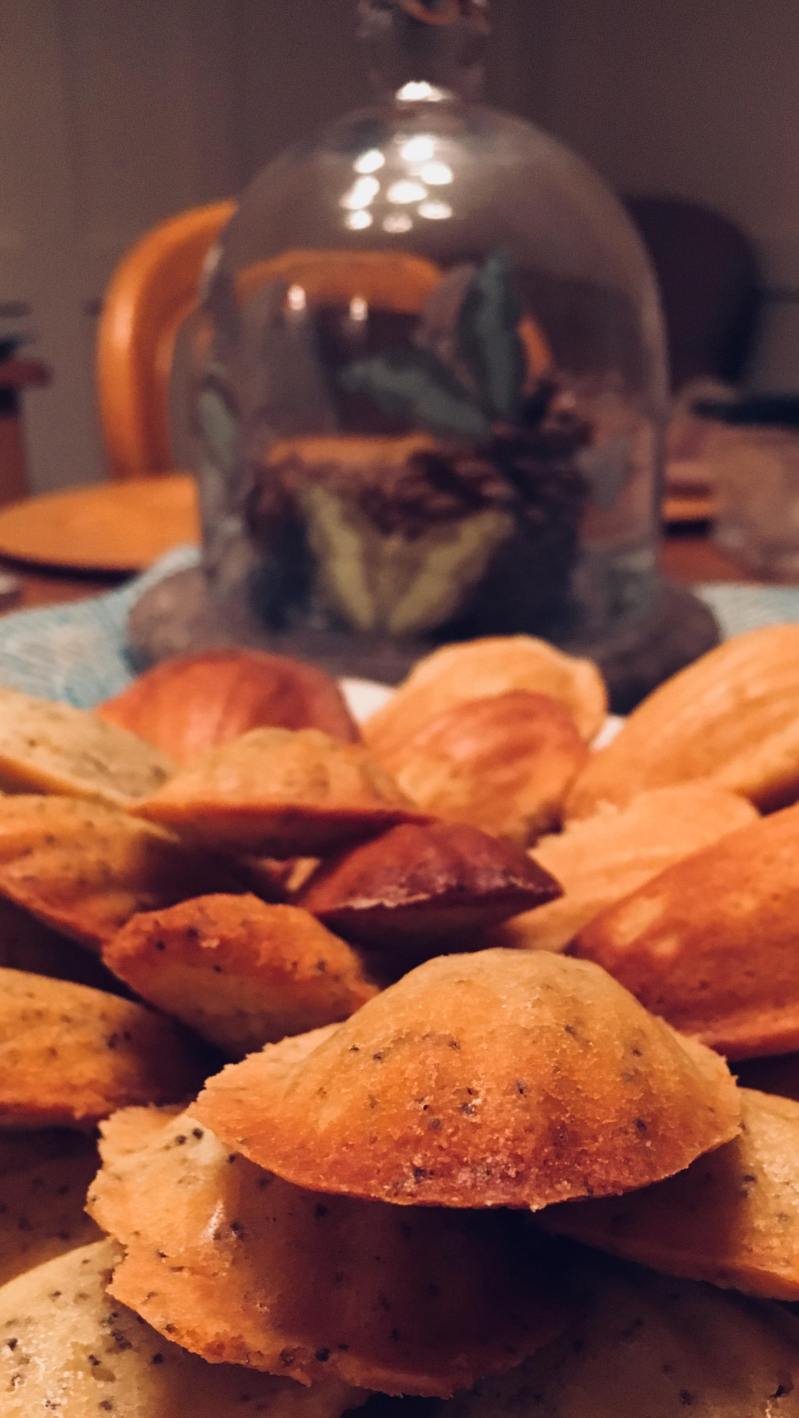 27707516_2032076243702960_1573673553_o