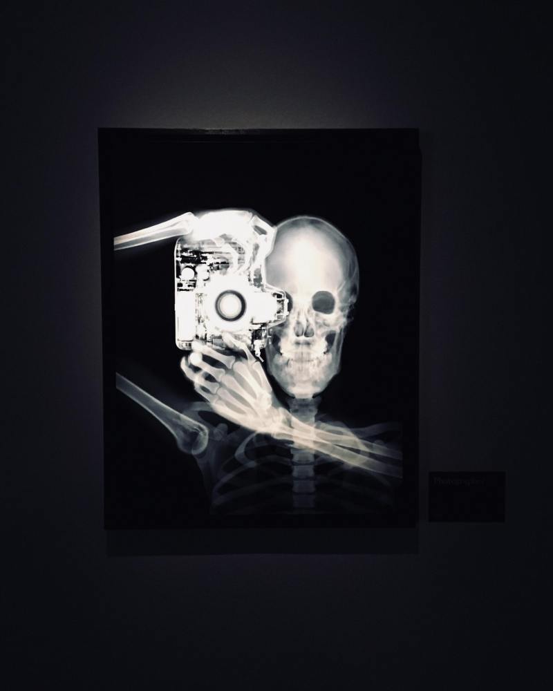 28081615_2038763283034256_1706897840_o