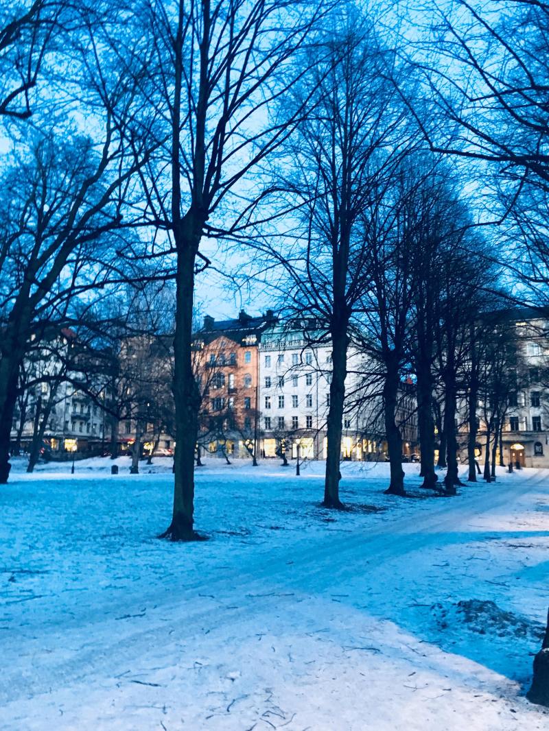 28124681_2038764569700794_1636981067_o