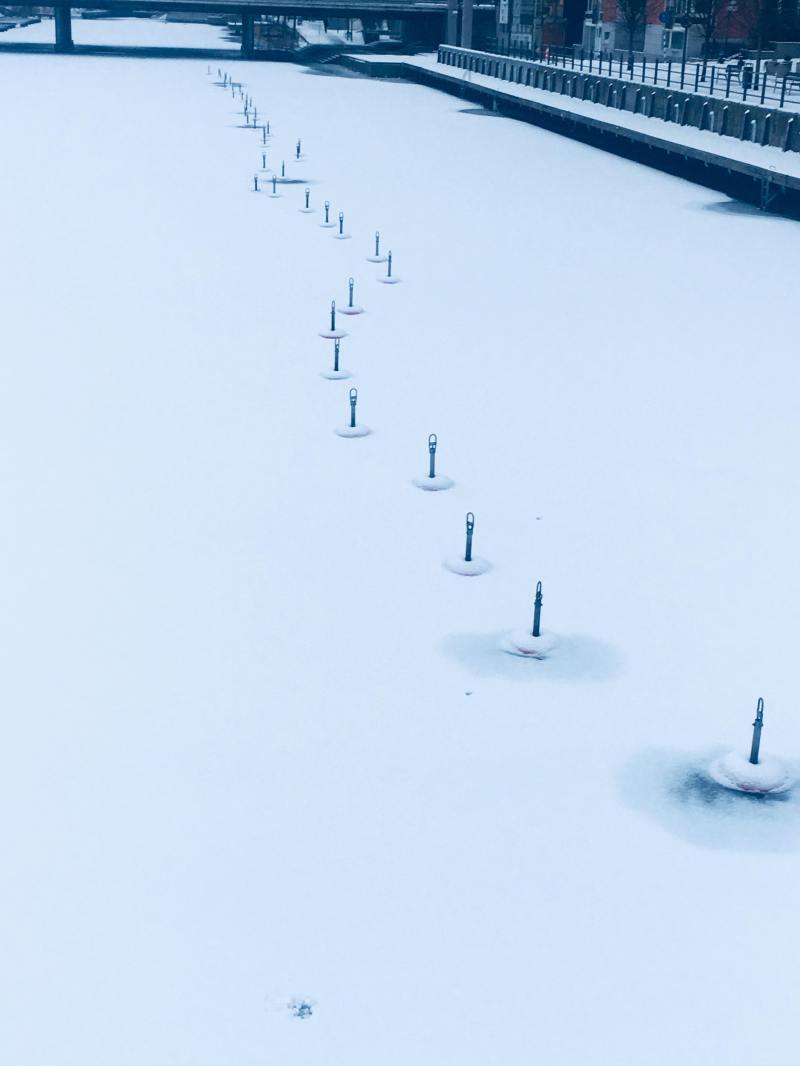 28125791_2038769683033616_1469611299_o