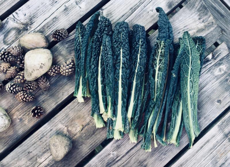 28584116_2045372562373328_1184510703_o