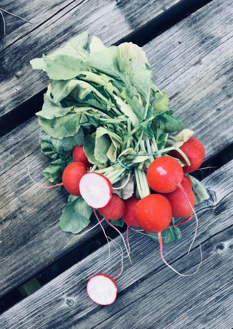 28584853_2045372545706663_529167525_o