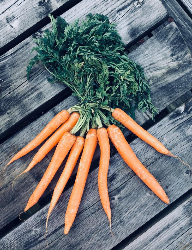 28641676_2045372575706660_147775147_o