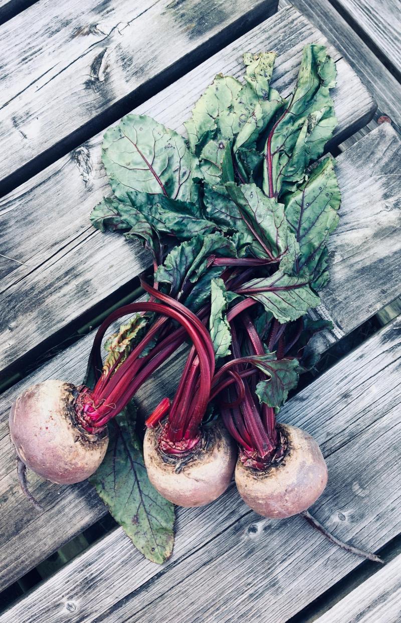 28694323_2045372559039995_1387275354_o