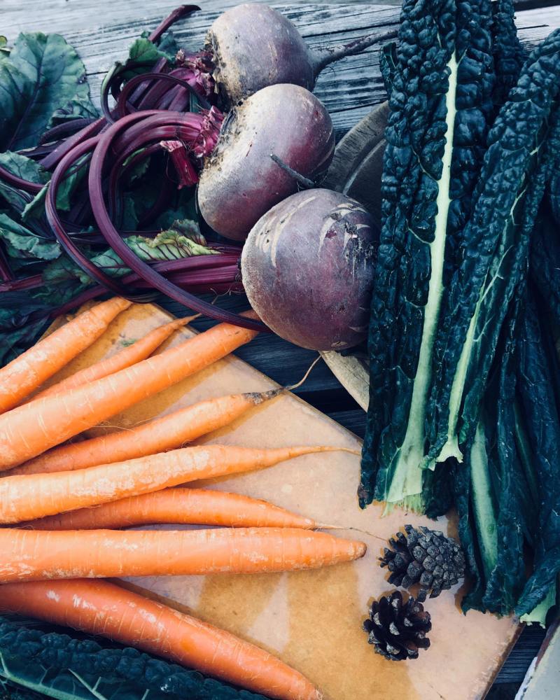 28694452_2045372652373319_1089563967_o