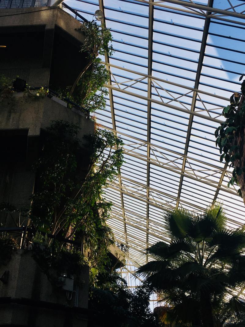 29893805_2060548534189064_1790341608_o