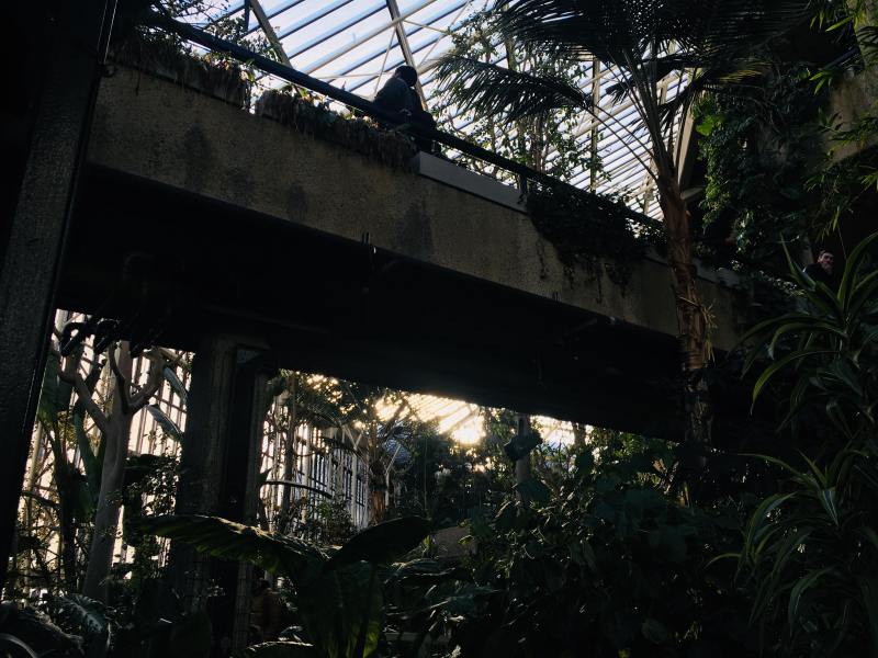 29942520_2060548537522397_360207915_o