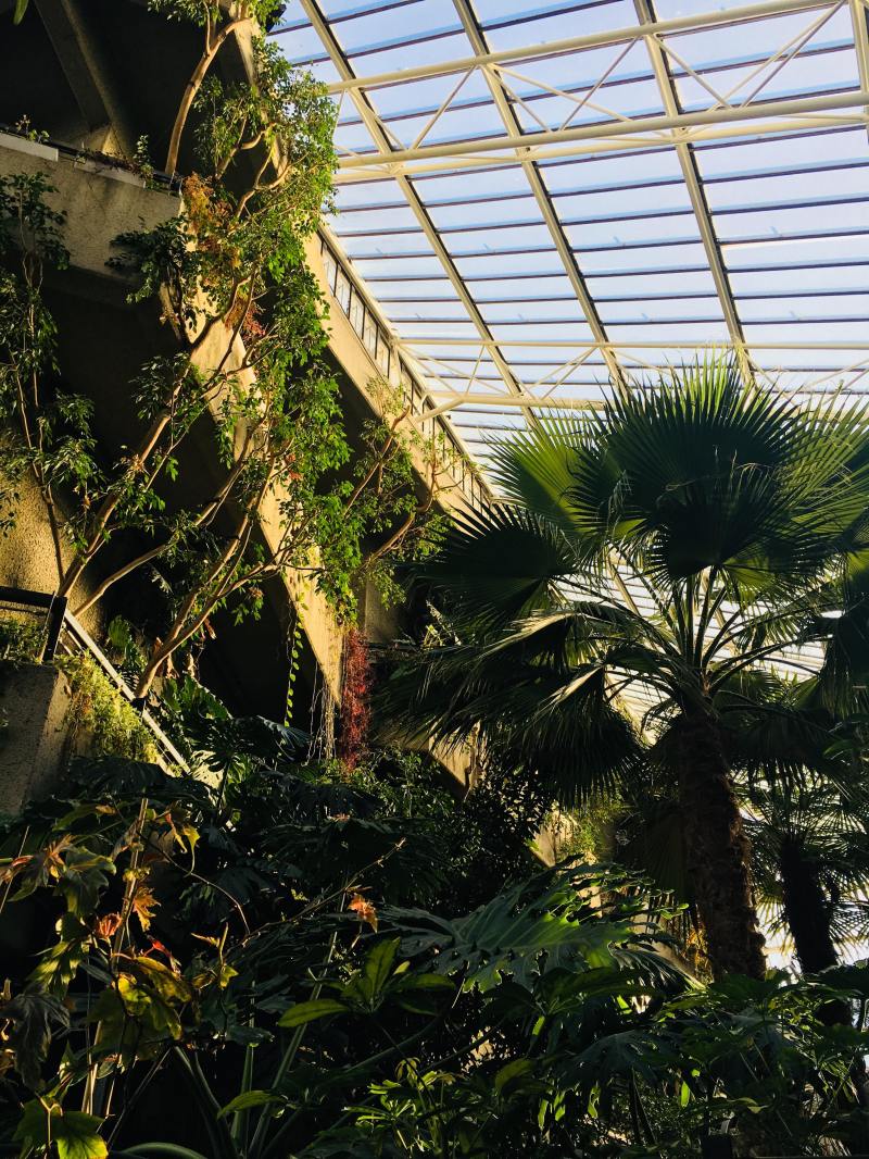 29942790_2060548577522393_1769706192_o