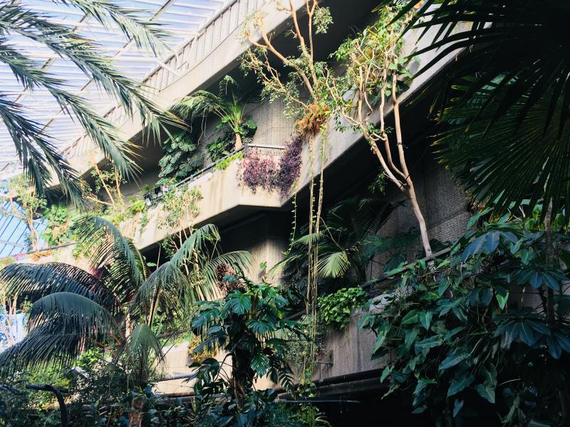 29943274_2060548584189059_1794207084_o