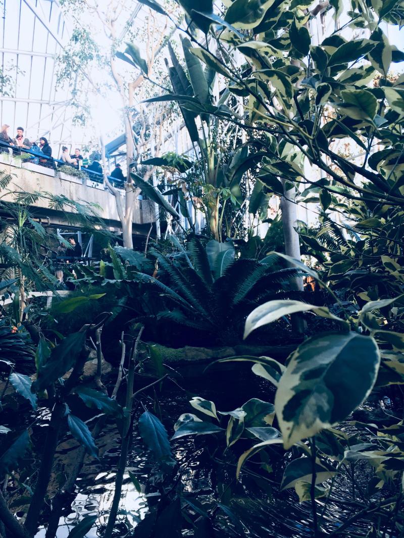 29954964_2060548520855732_752155088_o