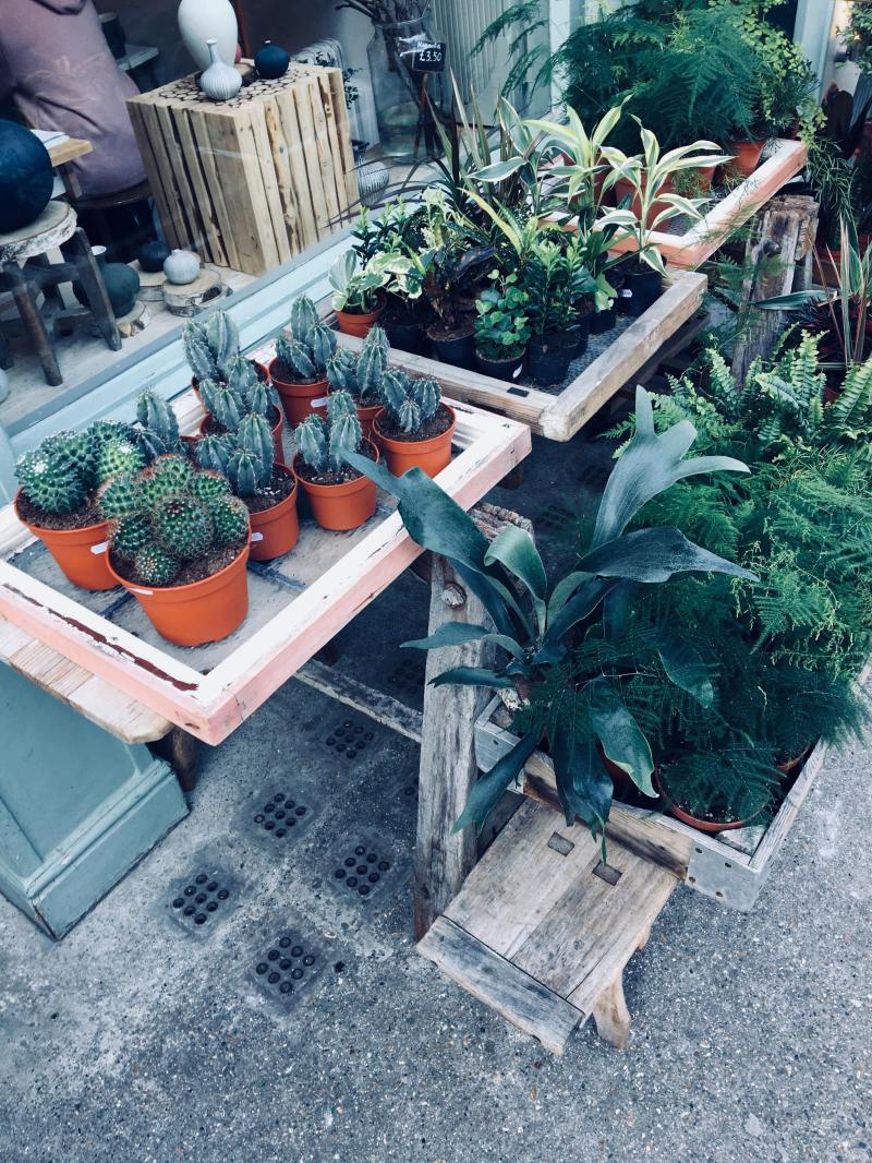 29955800_2060548267522424_1086952993_o