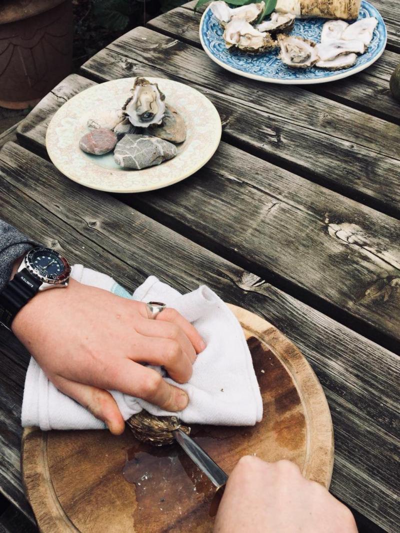 30122143_2063315727245678_2052177053_o