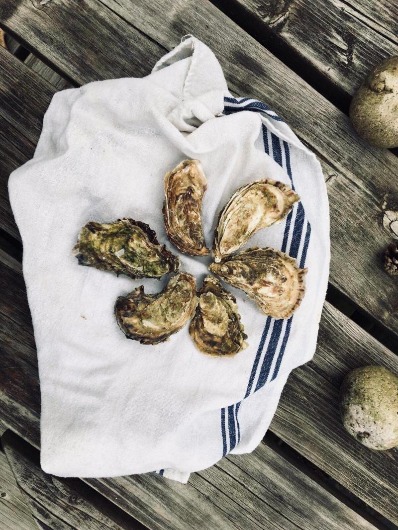 30122951_2063315360579048_1971635153_o