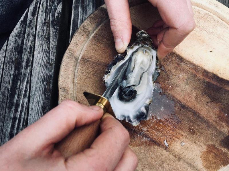 30126035_2063315620579022_1377733275_o