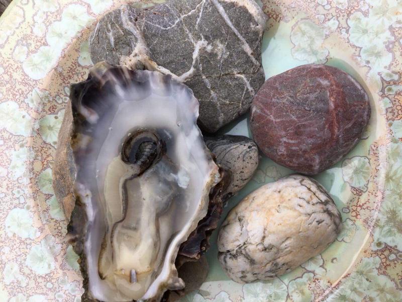 30126510_2063315650579019_1684443573_o