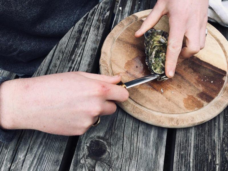 30223392_2063315540579030_764949729_o