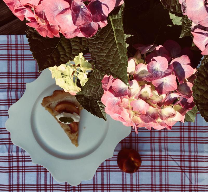 30772487_2071060746471176_179252743_o