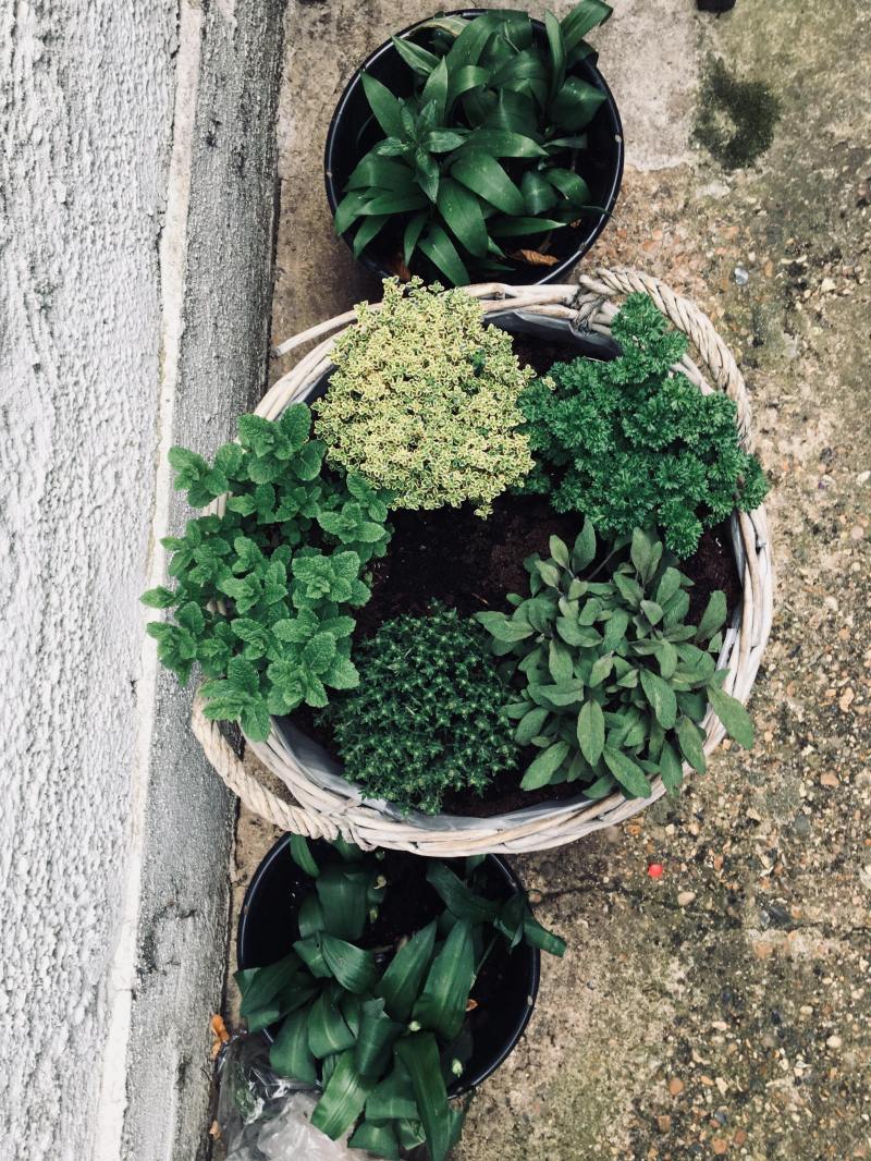 30849670_2069640339946550_137039482_o