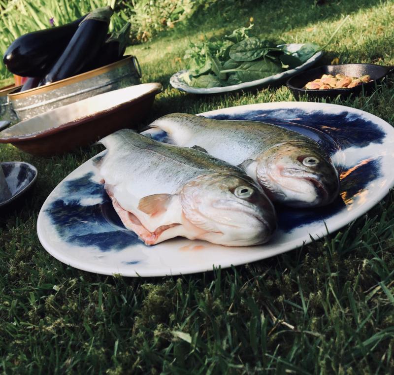 32147716_2077957909114793_4954534965401354240_n