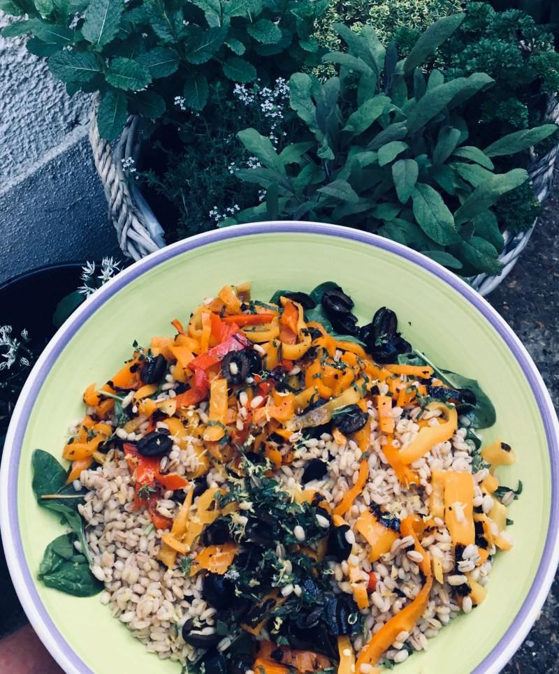 32187773_2077961732447744_5626159531420549120_n