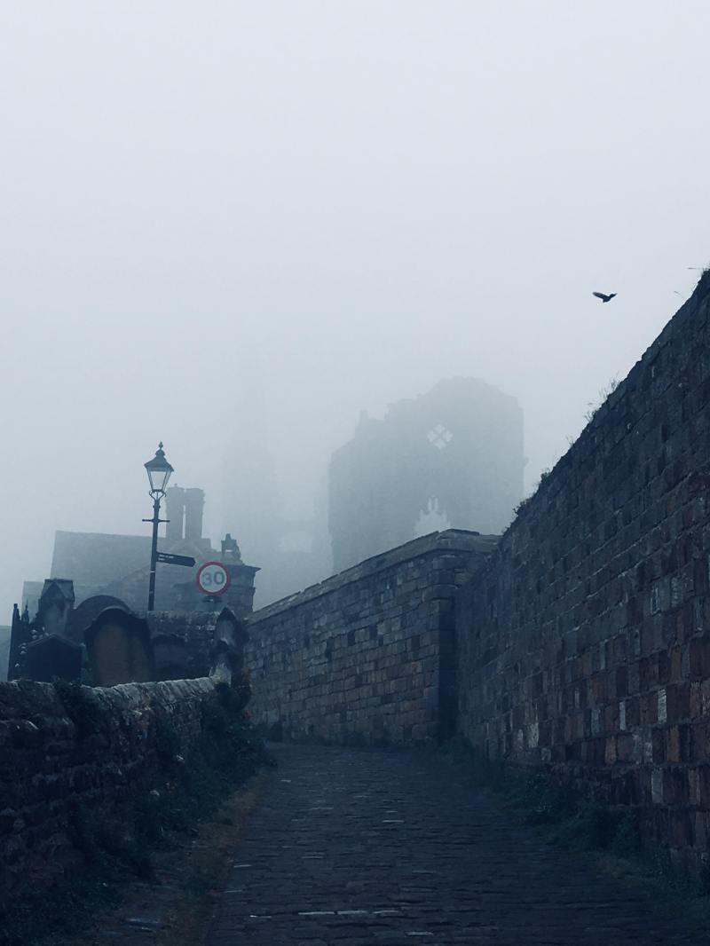 35283711_635741013444959_8626998321518477312_n