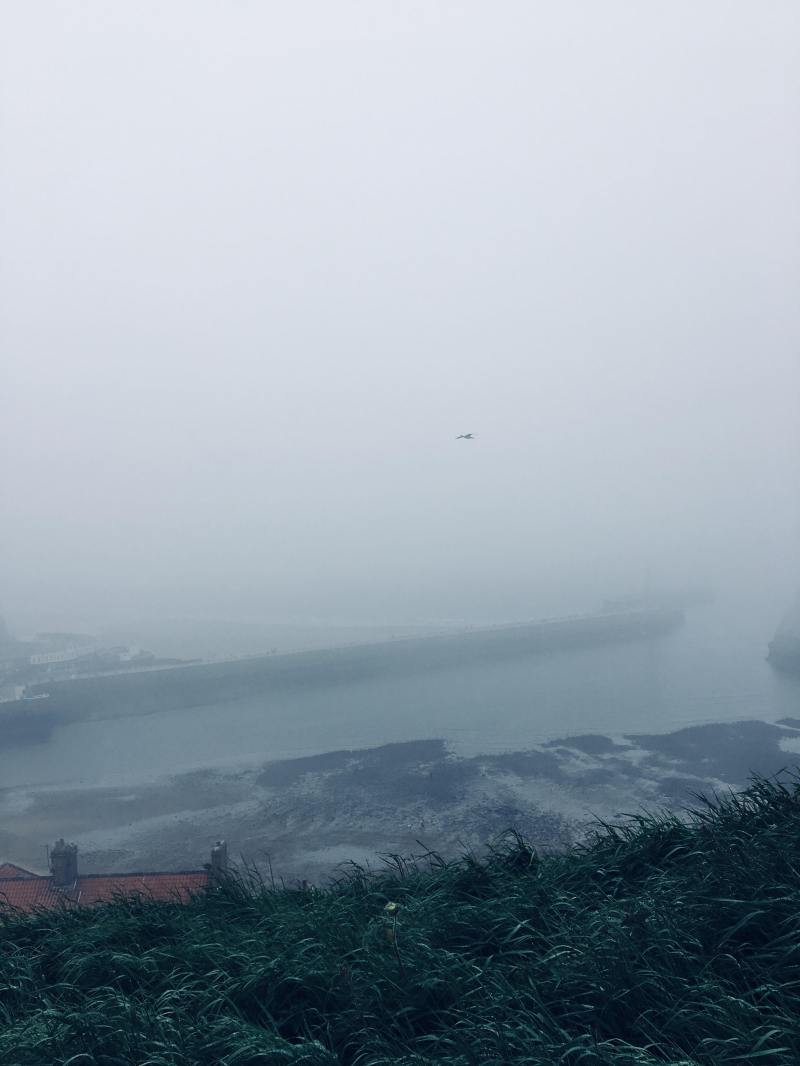 35334295_635741450111582_1373308985372835840_n