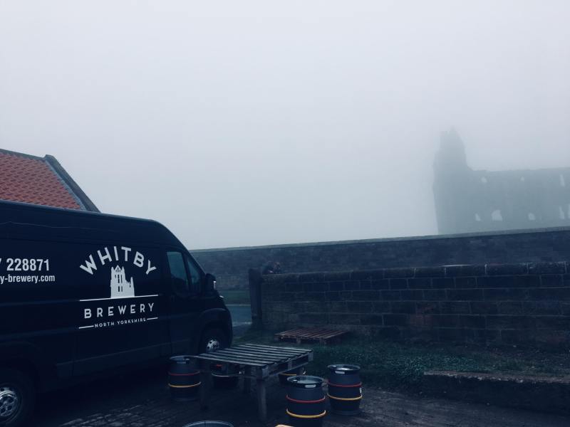 35364344_635741106778283_3917500925505175552_n