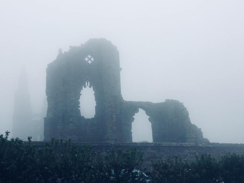 35383748_635741423444918_9169825206401761280_n