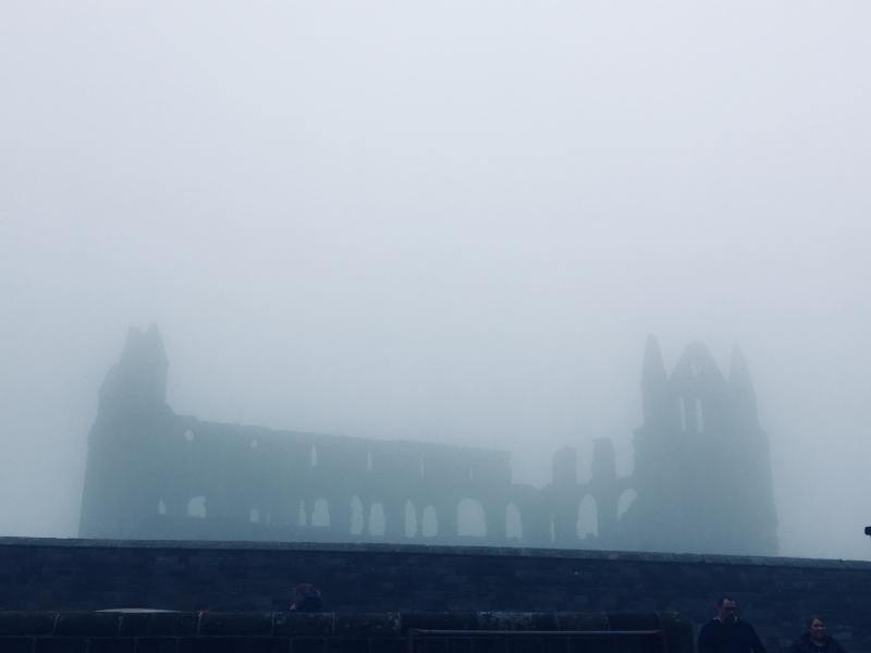 35416810_635741100111617_5973908838510755840_n