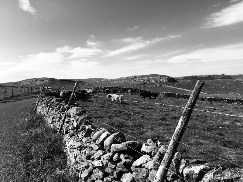 35528681_635741540111573_5428730871349772288_n