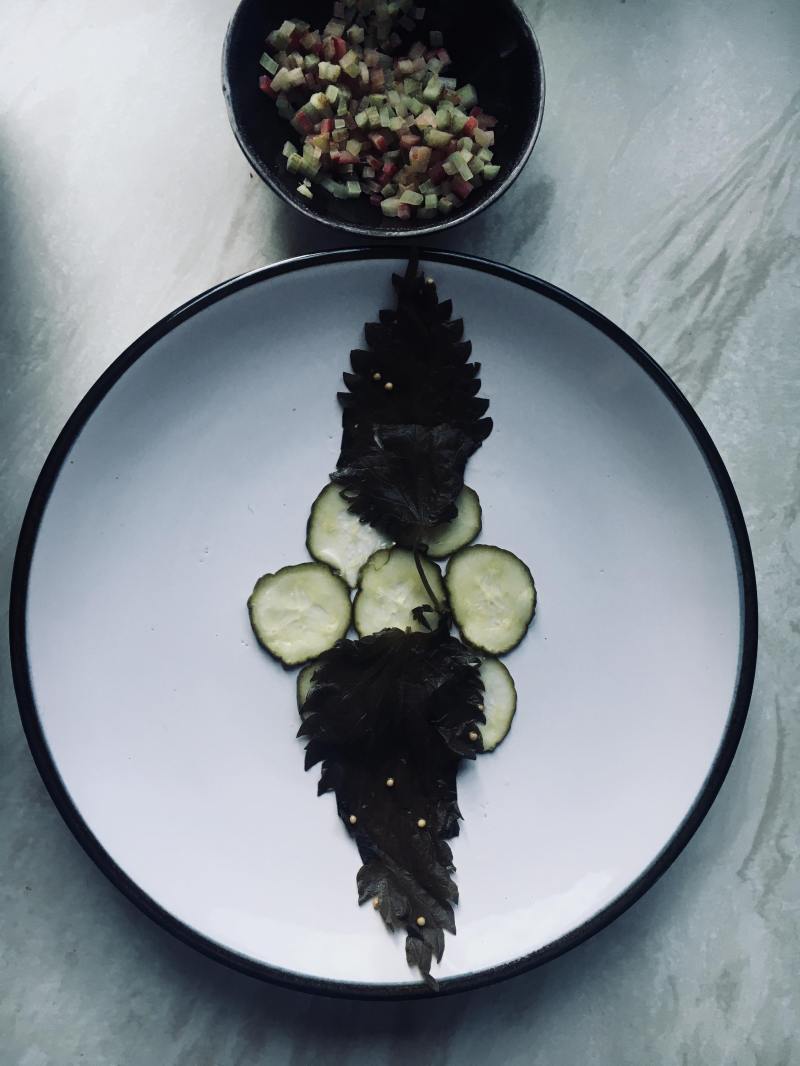 36466285_2108844942692756_5034452542864490496_n