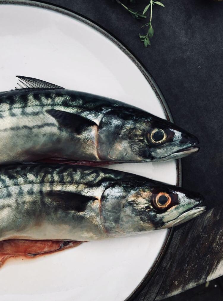 37390714_2126798974230686_4880464328781725696_n