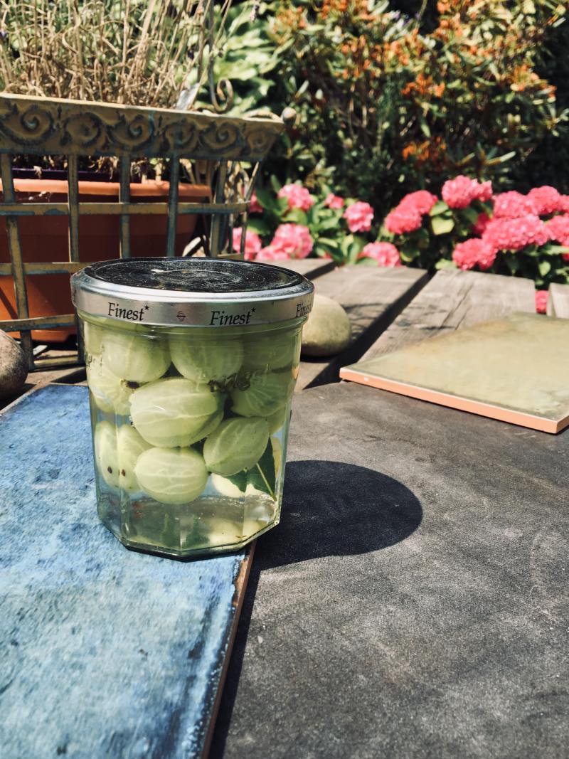 37608775_670313726654354_8409324456924676096_n