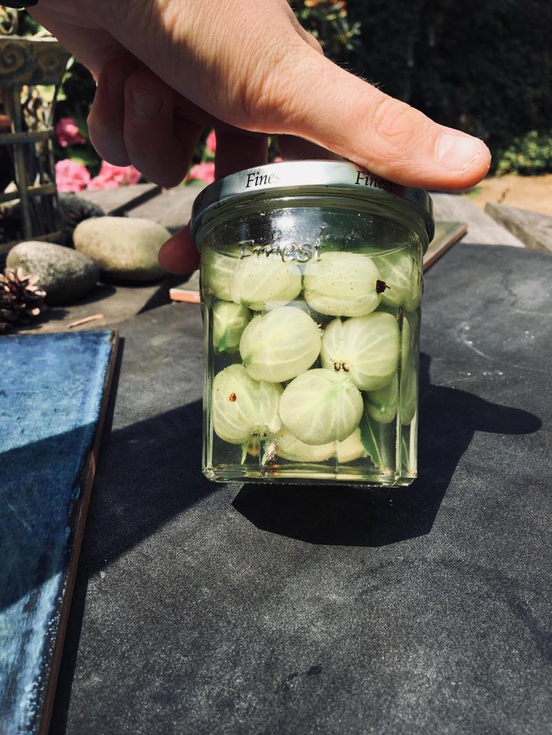 37654133_670313746654352_6283888538207387648_n