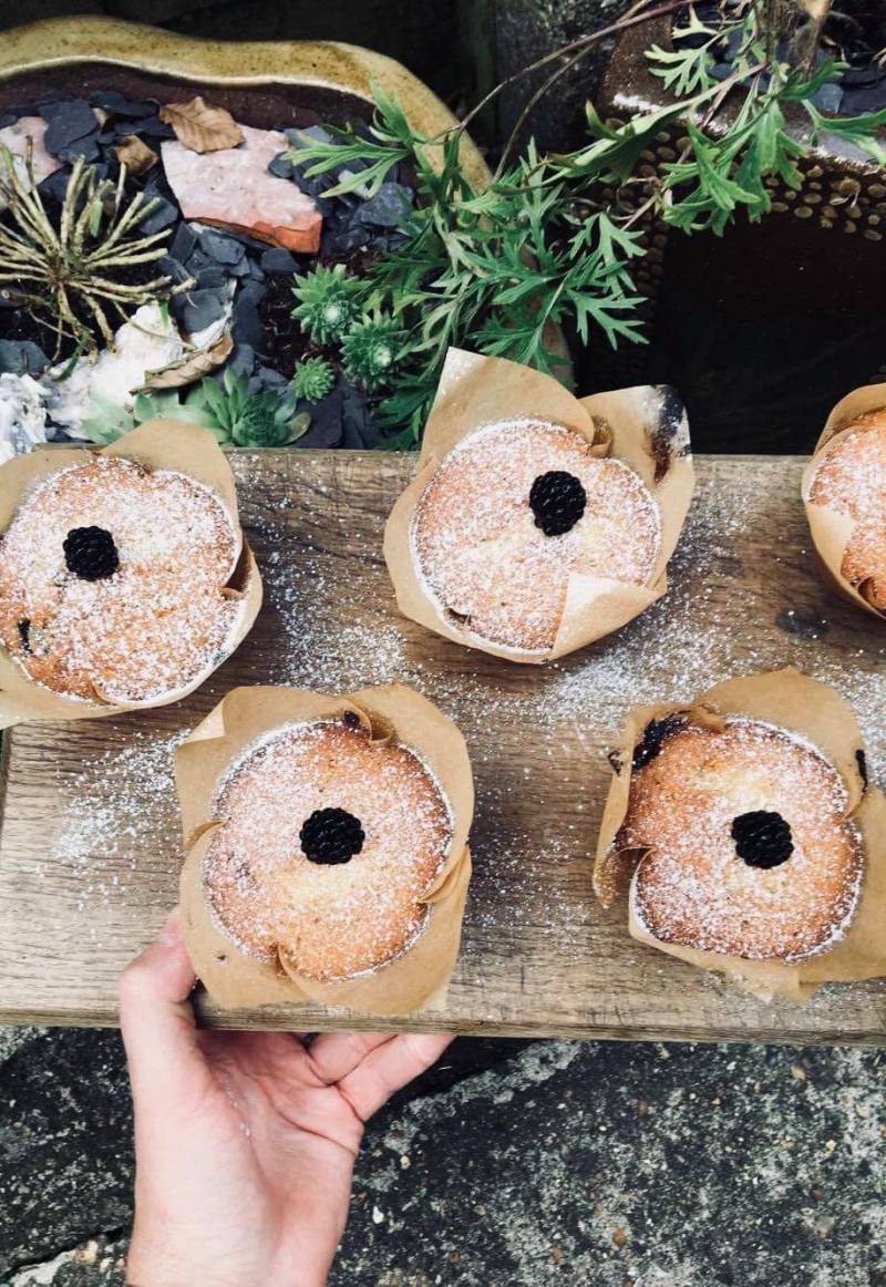 38239079_2143717639205486_5048036119967432704_n