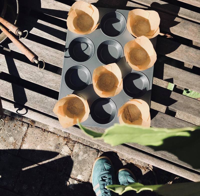 38280407_2143718152538768_4110885225326706688_n