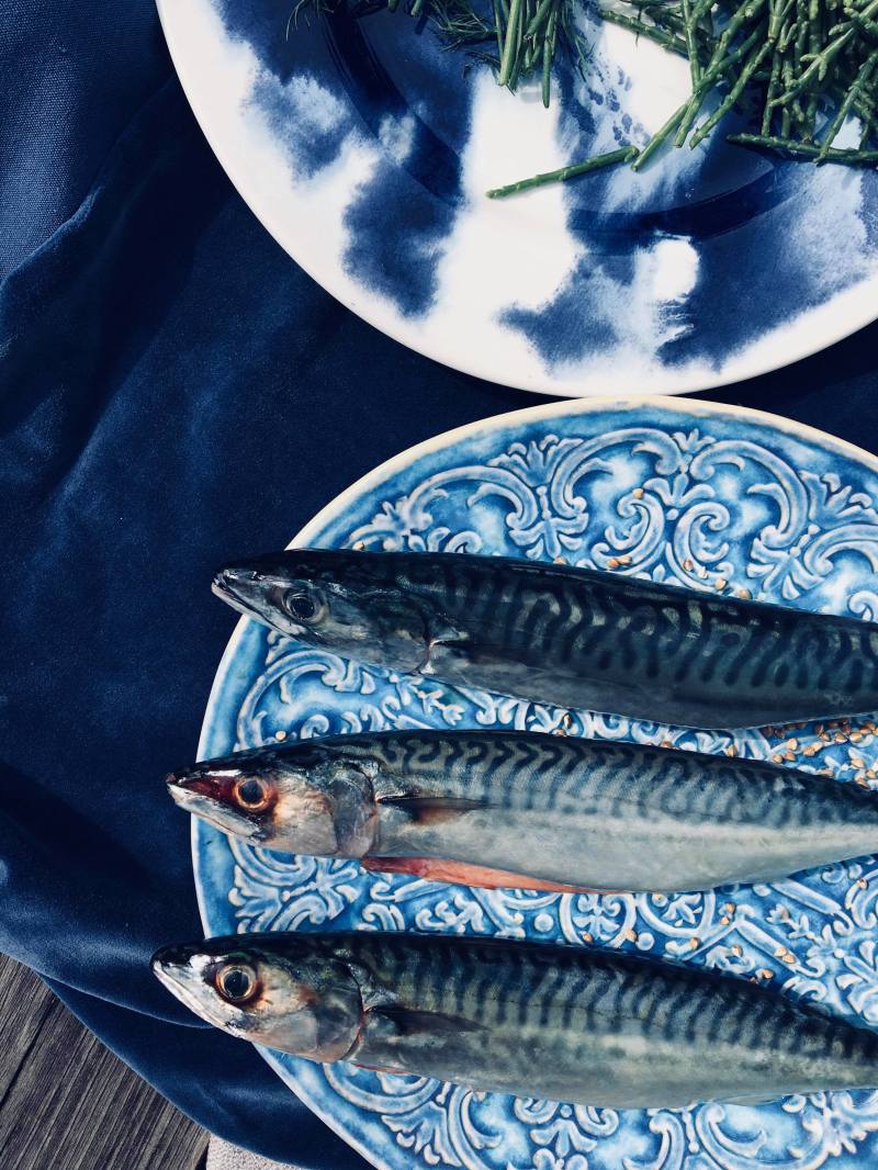 40059057_459126464581072_1958313763362832384_n