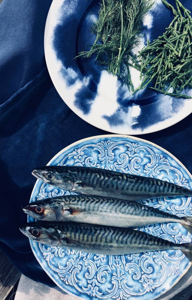 40079675_291141411680265_8031072068759977984_n