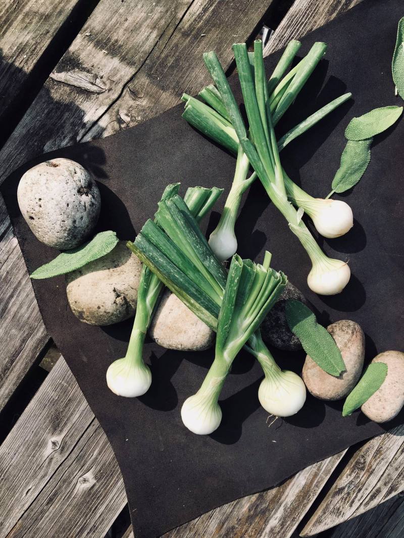 40084257_254282538551416_5393336475360165888_n