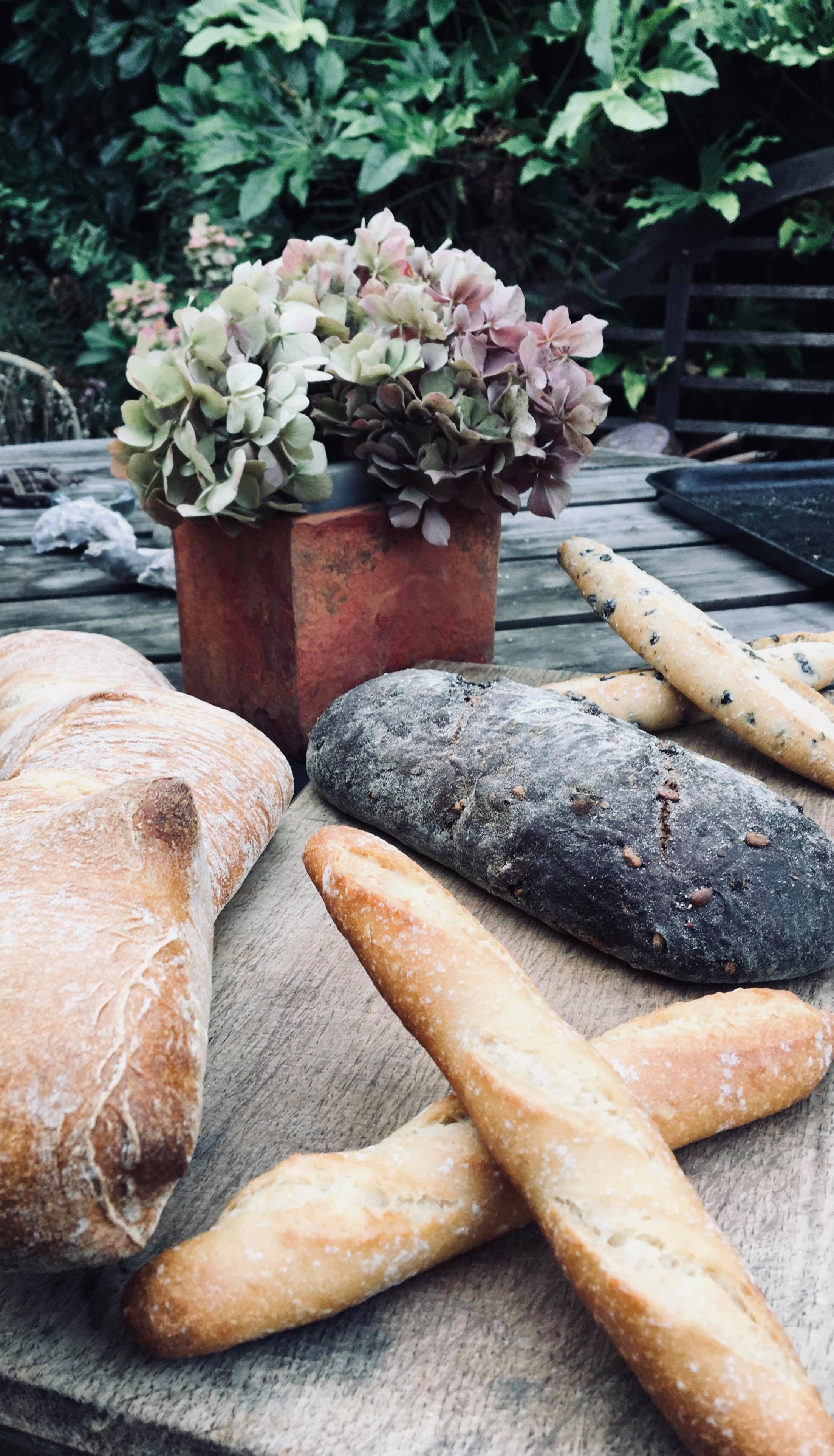 40100517_411392009394741_6751737620658651136_n