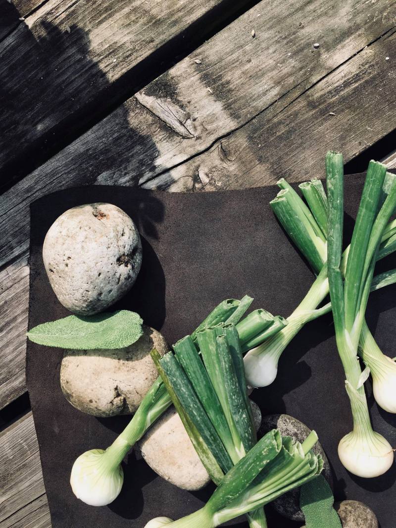 40164221_287549598509867_8396779613367304192_n