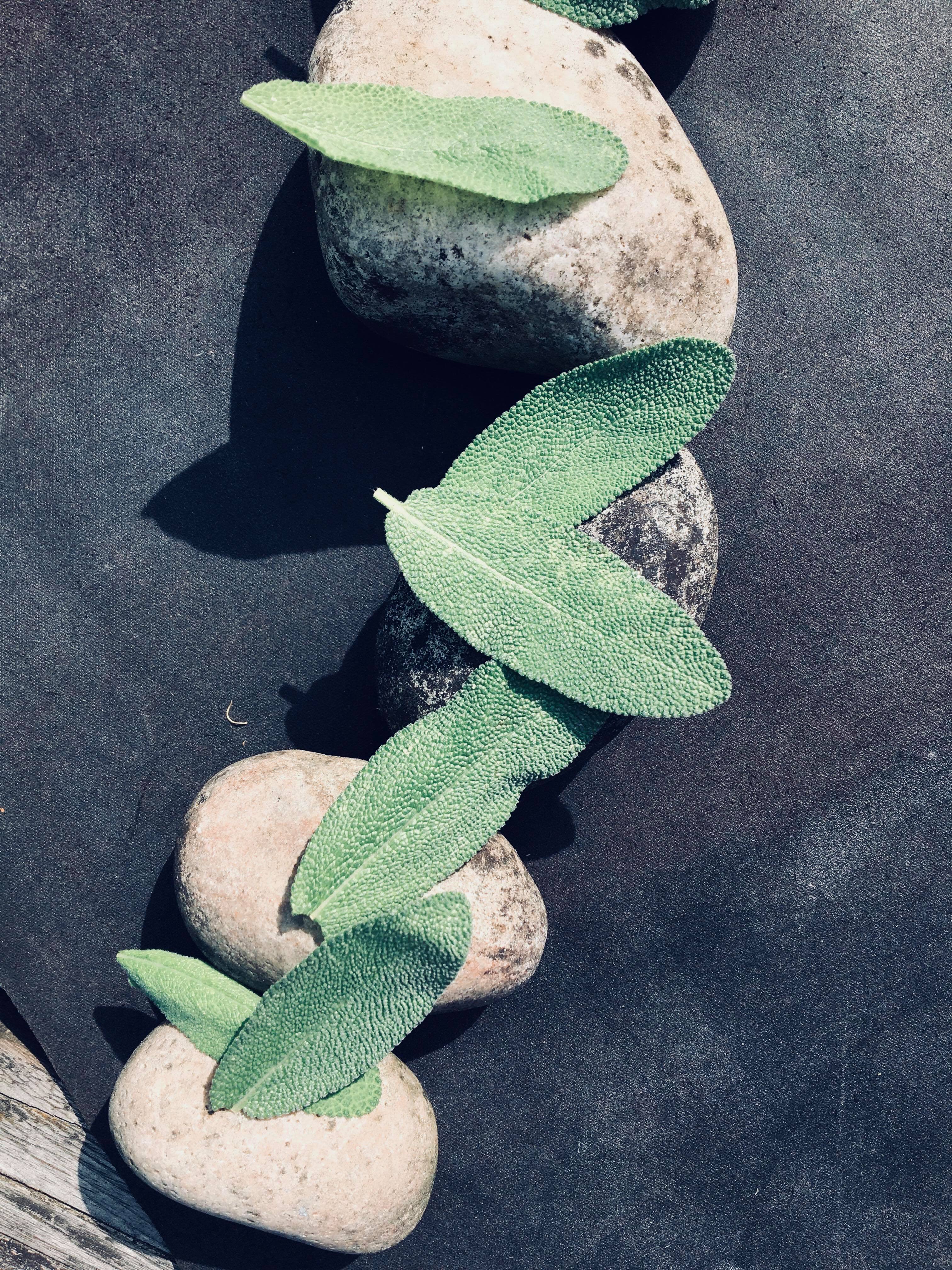 40242579_1136199649865193_5291213766652854272_n