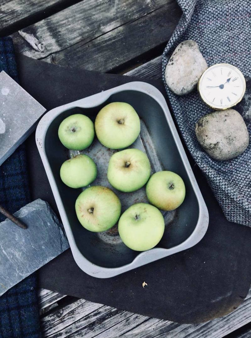 41372552_1775329789189243_6605694146885713920_n