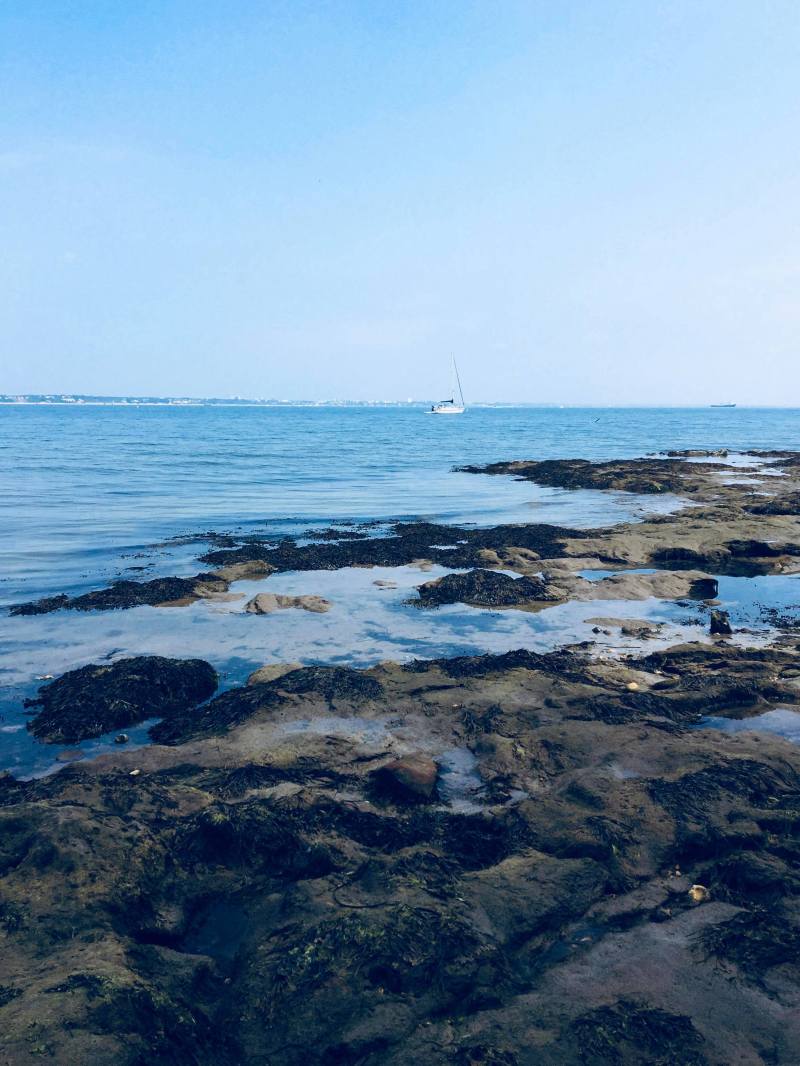 41741370_2111849442181569_2603685685382610944_n