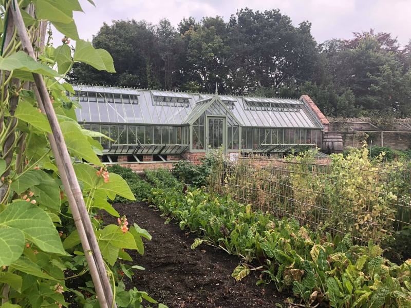 41743980_319508688601663_8105043843822387200_n