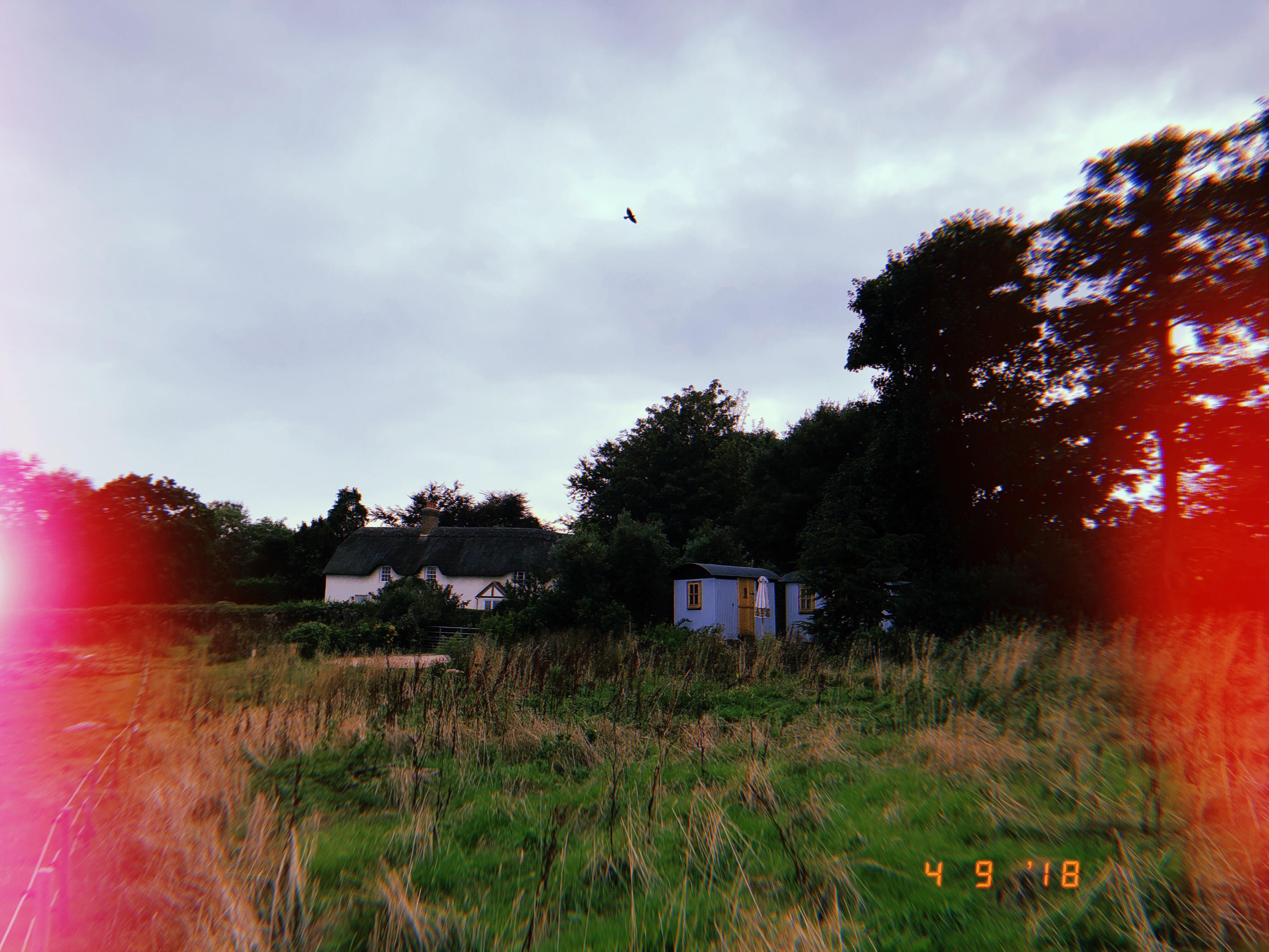 41764918_490960424736828_4647218948587126784_n